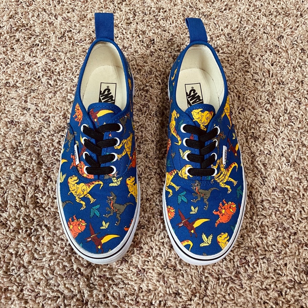 Vans Dinosaurs slip on shoes